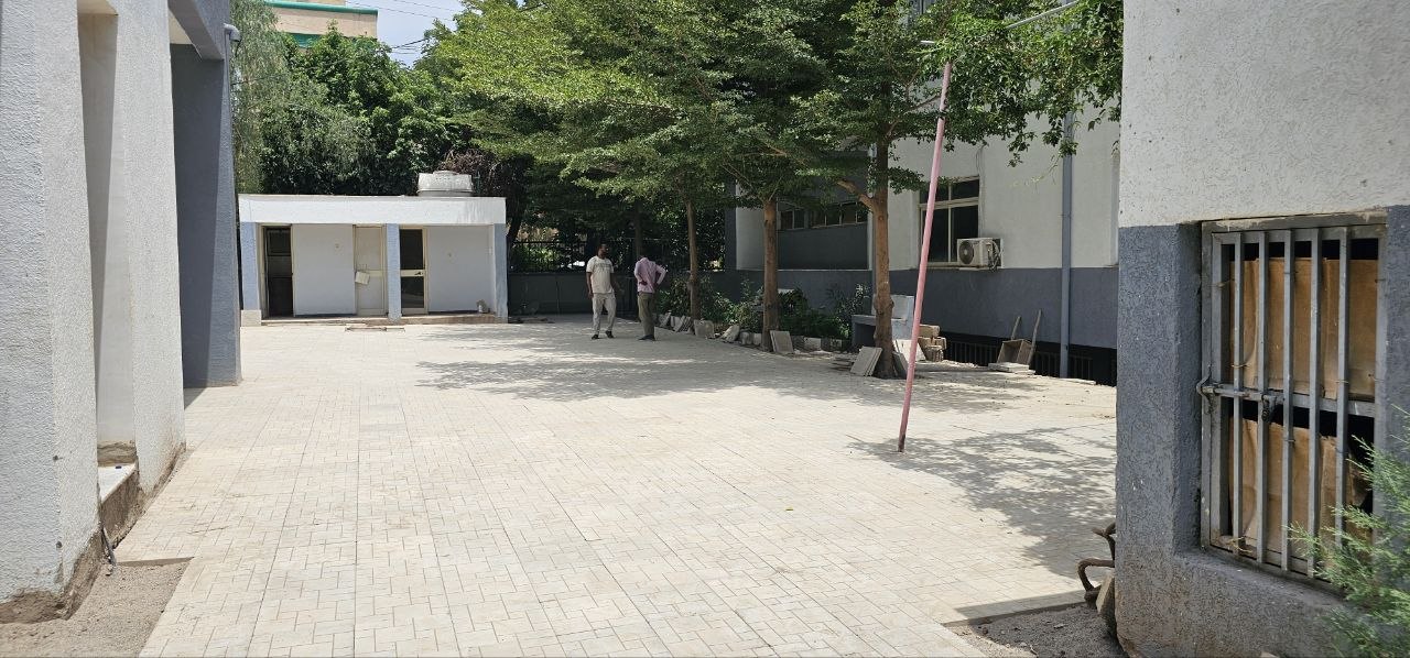 Library Renovation - Image 4